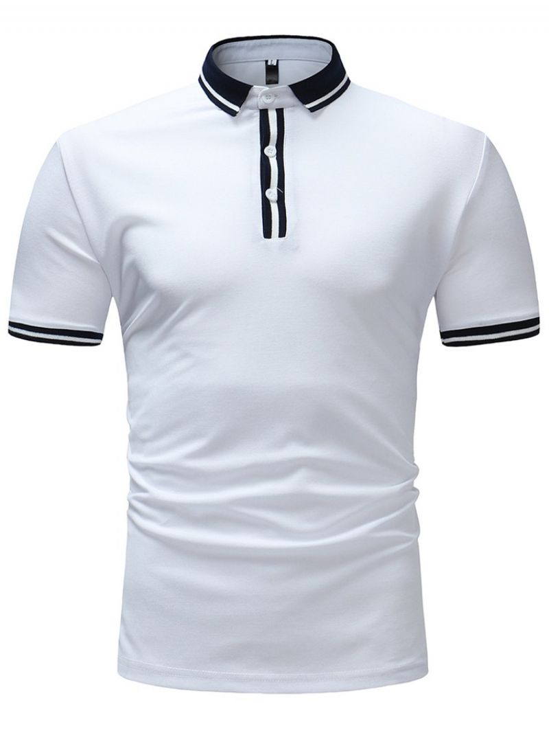 Pánské Polo Tričko Stripe Plain Slim Fit